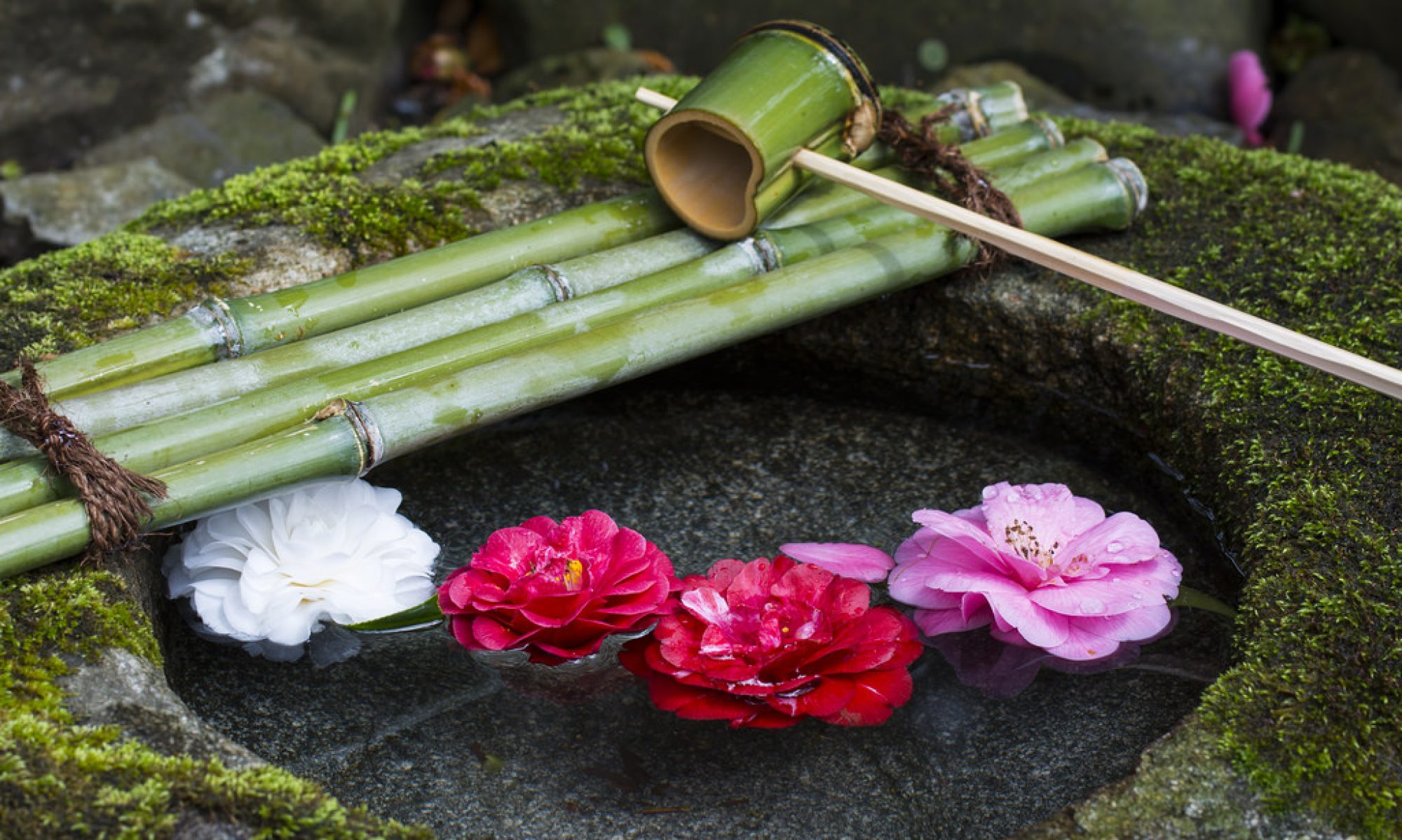 振袖・着物レンタル好慶